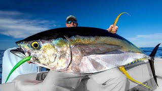 MASSIVE Yellowfin TunaCatch Clean Cook [upl. by Scottie522]