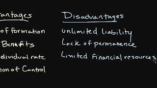 How a Sole Proprietorship Works  Introduction to Legal Structures [upl. by Wellesley100]