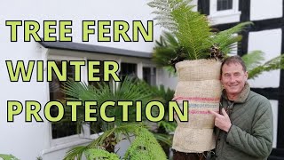 Tree Fern WINTER CARE [upl. by Cila]