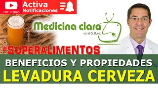 Beneficios Levadura de cerveza ¿es tan buena como dicen Propiedades de la levadura de cerveza [upl. by Martainn161]