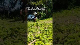 Bijuriya nagpuri songs 🎵 stuntvideo shortsvideo [upl. by Karena]