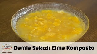 Damla Sakızlı Elma Komposto Tarifi [upl. by Kasper70]