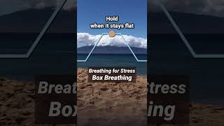 Breathing for Stress Box Breathing [upl. by Hsinam]