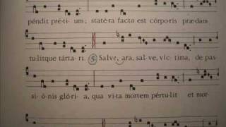 VEXILLA REGIS Inno Schola Gregoriana Mediolanensis Giovanni Vianini Milano Italia Gregoriano Ambrosiano studio e pratica in liturgia [upl. by Tnahsarp]