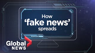 Fake News explained How disinformation spreads [upl. by Katherine638]