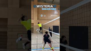 WISTERIA TOSS SET RELAY WISTERIAVOLLEYVOLLYBALL FROM JAPAN [upl. by Peg503]