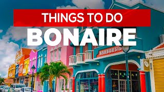 Things to do in Bonaire [upl. by Willett]