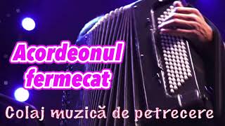 Acordeonul Fermecat Video Mix 2017  2018 [upl. by Neuburger45]