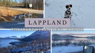 Lappland Schweden mit Wohnmobil Polarkreis Rentiere und Schnee Anfang Oktober [upl. by Annette804]