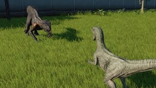 VelociraptorMax Attack VS Indoraptor  Jurassic World Evolution [upl. by Enilrad]