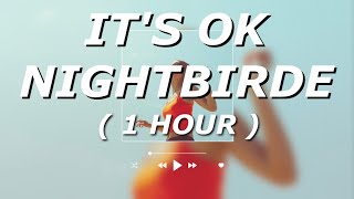 NIGHTBIRDE  Its Okay Lyrics 1 HOUR LOOP  simplyvida [upl. by Basilius264]