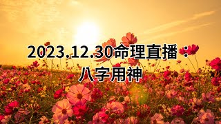 20231230命理直播：八字用神 [upl. by Darcy]