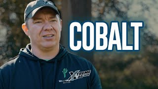 Unlocking the Power of Cobalt Enhancing Plant Health and Crop Yield [upl. by Carboni]