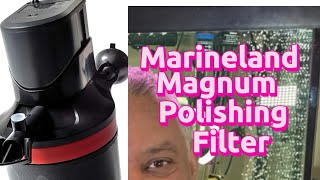 Marineland magnum polishing filter review marinelandmagnumpolisher [upl. by Ennayram486]