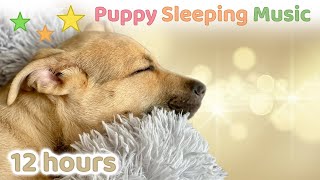 ☆ 12 HOURS ☆ Puppy Sleeping Music 🐶 ♫ Dog Sleep Music ☆ Calm Down Music ☆ Dog Anxiety Music [upl. by Calvert]