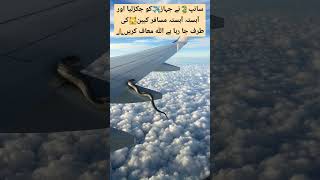 Flying snack on commercial airliner wing shortvideo aviation pafpilots americanpresident [upl. by Ariew531]