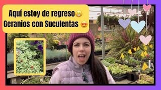 Aqui estoy de regreso Haciendo Jardineria Geranios Colgantes Con sucuculentas 😍🪴 [upl. by Taryn]