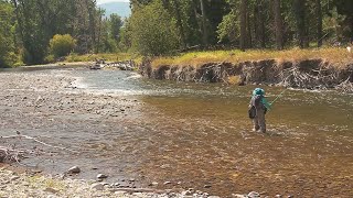 Fishing the Bitterroot River in Montana [upl. by Trebreh]