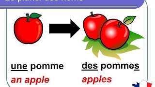 French Lesson 92  Plural nouns Grammar Rules Pronunciation  Le pluriel des noms en français [upl. by Lahcim]