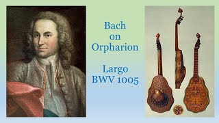 Bachs Largo BWV 1005 on Orpharion Bandora played by Taro Takeuchi バッハの『ラルゴ』BWV1005 [upl. by Volnay]