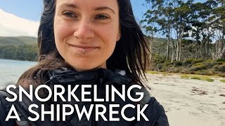 snorkeling SHIPWRECK in Fortescue Bay Tasmania [upl. by Corder]