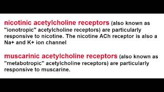 Ach Receptors  Nicotinic amp Muscarinic [upl. by Lindy]