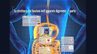 Struttura e funzioni dell apparato digerenteI parte [upl. by Remliw]