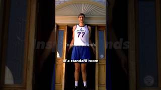 Unveiling the Spectacular Heights of Gheorghe Muresan  The Tallest Player in NBA History [upl. by Hahsia631]