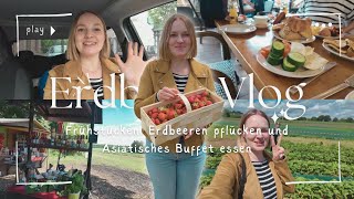 Erdbeer Vlog  Erdbeeren pflücken  Mädelstag [upl. by Lytsirk751]