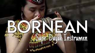 Bornean  Helmy Trianggara Official Music Video Sape Dayak Kalimantan [upl. by Ahsiele]