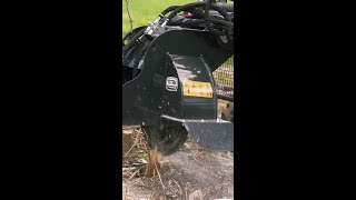 Standard Series Stump Grinder [upl. by Surovy]