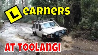 Beginnerfriendly Toolangi 4x4 Tracks Near Melbourne [upl. by Hollyanne147]