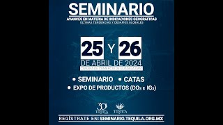 Paneles de la tarde Seminario Internacional de Denominaciones de Origen [upl. by Oeramed]