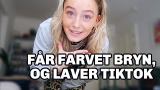 FILMER TIKTOK FÅR FARVET BRYN OG HYGGER MED MINE VENINDER vlog [upl. by Crandale]