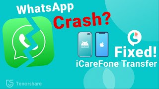 WhatsApp Keeps Crashing Fixed via iCareFone Transfer  Android amp iPhone [upl. by Nyrhtakyram]