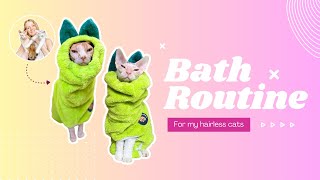 Sphynx Bath Routine [upl. by Pressey]