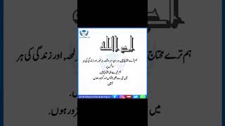 Ae Allah اے اللہ الله allah shorts [upl. by Obrien]