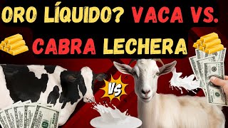 Secretos rentables Vaca vs Cabra Qué es más rentable una vaca lechera o una cabra lechera [upl. by Hanauq917]