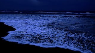 Ocean Waves for Deep Sleep  Waves Crashing on Beach at Night for Insomnia Wave Sounds to Relax [upl. by Willet]