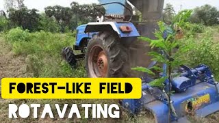 Rotavating in the forestlike field using tractor rotavator [upl. by Walt]