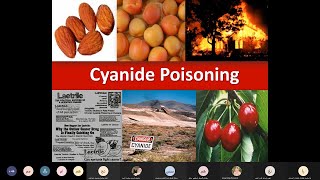 Cyanide poisoning section [upl. by Oicneconi]