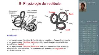 le système vestibulaire [upl. by Eoin242]