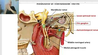 Anatomy of head and neck module in Arabic 26 Mandibular nerve part 1 by Dr Wahdan [upl. by Albarran85]