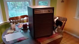 Edison dehumidifier from 1995 Looks like a product of the 80s to me This video is in 169 R500 [upl. by Ayocat]