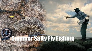 Summer Salty Fly Fishing  Sea Robins and Summer Flounder Fluke [upl. by Hoffer]