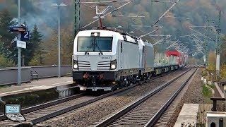 Obervogelgesang mit Rheingold UnipetrolIsraelzug RBH 143 Dampfzug Dresdner ⓈBahn ECs [upl. by Naux774]