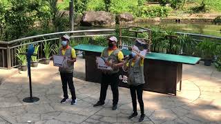 Bird Show at KL Bird Park [upl. by Weisman]