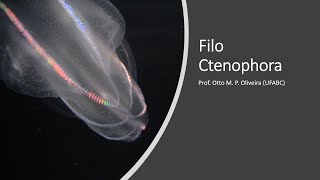 Zoologia  Filo Ctenophora [upl. by Marietta]