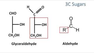 Memorizing Simple Sugars in Under 10 minutes [upl. by Ytineres]