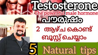 How to boost testosterone malayalamപുരുഷ ഹോർമോൺ വേഗത്തിൽ കൂട്ടാം health manoyogawellness [upl. by Nhaj]